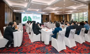 Thúc đẩy điều trị toàn diện trong quản lý Hen phế quản tại Việt Nam