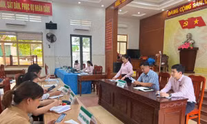 Dòng vốn tín dụng chính sách vẫn thông suốt trên địa bàn Hoài Nhơn (mới)