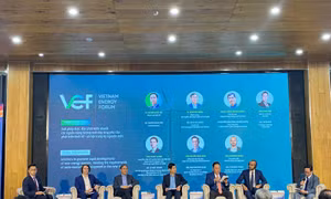 Nhiều 'đại bàng' FDI đang tìm kiếm nguồn năng lượng xanh quy mô lớn tại Việt Nam