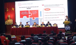 Năm 2024: Phổ cập hạ tầng số và sáng tạo ứng dụng số