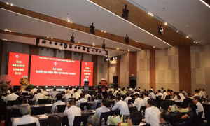 Bắt nhịp cơ hội mới