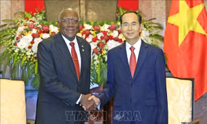 Quan hệ Việt Nam - Cuba tiếp tục được củng cố và phát triển toàn diện