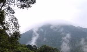 Mùa thu ở Bạch Mã