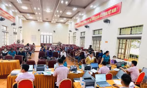 Phòng giao dịch NHCSXH Lục Yên – Chi nhánh tỉnh Lào Cai hoạt động hiệu quả sau sát nhập