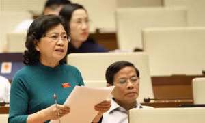Đại biểu Hoàng Thị Hoa: Còn hơn 40 tỉnh, thành chưa có Nghị quyết về triển khai phòng, chống xâm hại trẻ em