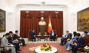 Tổng Bí thư, Chủ tịch nước Tô Lâm: Phát triển thực chất quan hệ Đối tác chiến lược toàn diện Việt Nam - Hàn Quốc