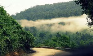 Thơ: Nhớ chái bếp  