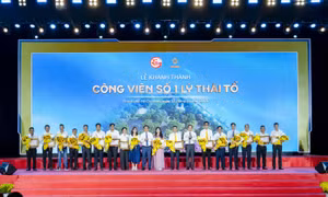 Công viên số 1 Lý Thái Tổ sẽ trở thành không gian xanh và nhân văn giữa trung tâm TP Hồ Chí Minh