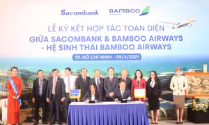 Sacombank và Bamboo Airways hợp tác toàn diện