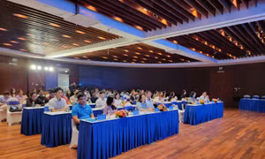 Thực trạng, giải pháp của doanh nghiệp nhỏ và vừa về chuyển đổi số 