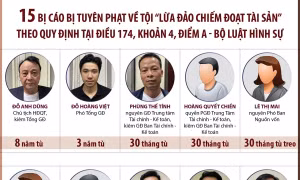 Chủ tịch Công ty Tân Hoàng Minh bị tuyên phạt 8 năm tù