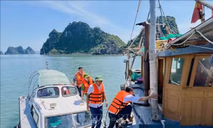 Quảng Ninh tạm dừng cấp phép phương tiện ra khơi