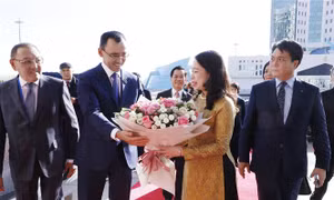 Phó Chủ tịch nước Võ Thị Ánh Xuân hội kiến Chủ tịch Thượng viện Kazakhstan