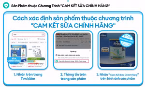 Lazada cùng các thương hiệu sữa hàng đầu chung tay bảo vệ người tiêu dùng