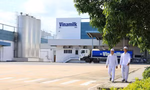 Ba năm liền góp mặt trong Fortune SEA 500: Vinamilk khẳng định vị thế thương hiệu sữa Việt