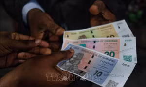 Zimbabwe ra mắt tiền giấy mới nhằm ổn định kinh tế