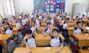 Nhân rộng niềm vui mang tên 'Sữa học đường'