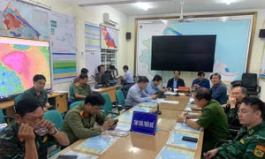 Chưa ghi nhận thiệt hại về người ở bốn tỉnh vùng tâm bão Noru