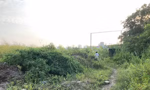 Cần áp thuế nặng với chủ đầu tư để đất hoang