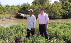 Dấu ấn 23 năm tín dụng chính sách An Giang đồng hành cùng người dân