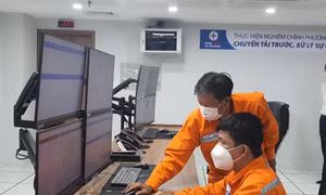 Tổng công ty Điện lực TP. Hồ Chí Minh  đảm bảo cấp điện ngày Lễ 2/9