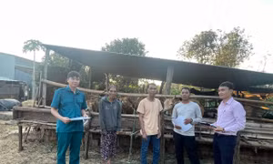 Vốn chính sách làm thức dậy đất nghèo Chư Sê