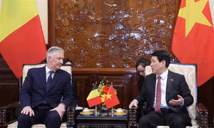 Chủ tịch nước Lương Cường và Nhà Vua Bỉ Philippe hội kiến