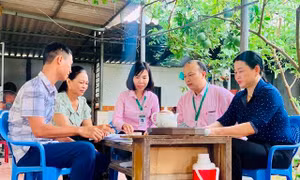 Vùng trung du Hiệp Hòa đổi thay từ vốn tín dụng chính sách