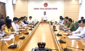 Hội giảng nhà giáo Giáo dục nghề nghiệp toàn quốc năm 2024 sẽ diễn ra tại Quảng Ninh