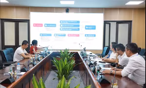 Tham vấn về hoạt động Dự án USAID tại Quảng Ninh
