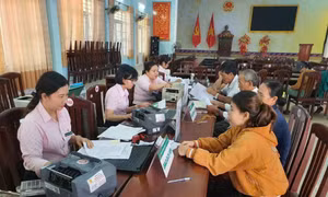 Vốn tín dụng chính sách phát huy hiệu quả trên mảnh đất Hoài Nhơn