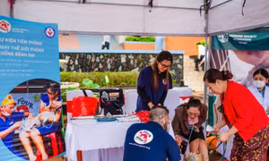 FOUR PAWS hỗ trợ hoạt động Tiêm phòng bệnh Dại miễn phí