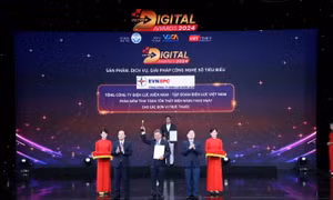 Tổng công ty Điện lực miền Nam đạt Giải thưởng chuyển đổi số Việt Nam năm 2024