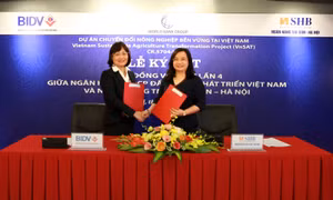 SHB đầu tư vốn đẩy mạnh phát triển kinh tế Đồng bằng sông Cửu Long