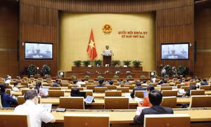 Luật Sở hữu trí tuệ đủ chế tài mạnh để 'răn đe'
