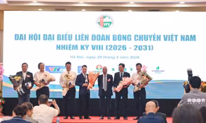 Đại hội Đại biểu Liên đoàn Bóng chuyền Việt Nam nhiệm kỳ VIII (2026 - 2031)