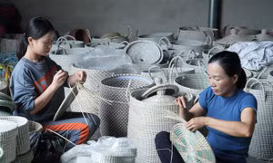 Doanh nhân nữ trẻ tràn đầy tinh thần khởi nghiệp, khát khao xây dựng sự nghiệp