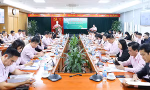 Chương trình giáo dục số cho các nhóm yếu thế tại Việt Nam đạt được những kết quả tích cực