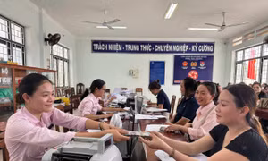 Tín dụng chính sách hỗ trợ Hoài Nhơn thực hiện tốt công tác an sinh xã hội.