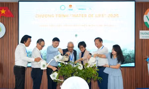 Khởi động 'Water of Life: Bảo tồn nguồn nước - Vì một Việt Nam xanh' năm 2025 và ra mắt mô hình 'Trải nghiệm thiên nhiên cùng Mizuiku'