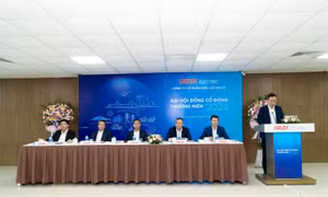 ĐHĐCĐ thường niên 2024 của GELEX Electric diễn ra thành công
