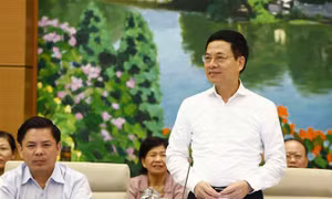 Nhà mạng không được cấp phép các dịch vụ mới nếu còn sim rác 
