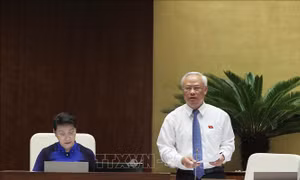 Đại biểu băn khoăn việc chọn xử lý tài sản 'giải trình không hợp lý nguồn gốc' qua tố tụng Tòa án