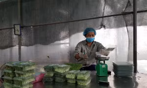 Hội nghị kết nối, xúc tiến thương mại tiêu thụ nông sản an toàn thành phố Hà Nội năm 2019