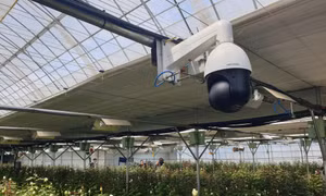 Tiềm năng hợp tác giữa Việt Nam và Hàn Quốc trong lĩnh vực nông nghiệp thông minh