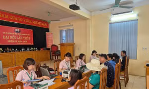 Dòng vốn tín dụng chính sách chảy đều đặn ở hai bên bờ sông Đà Hòa Bình – Phú Thọ