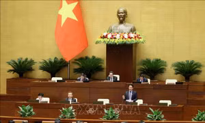 Kỳ họp thứ 7 là một kỳ họp bản lề Quốc hội khóa XV