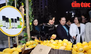Sắp diễn ra Hội chợ Đặc sản Vùng miền Việt Nam 2024