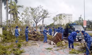 Trong bão dông, bản lĩnh vượt khó của người Hải Phòng càng kiên cường, tỏa sáng