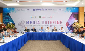 Khám phá tiềm năng phát triển của các dự án startup blockchain